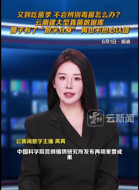 不会鉴别毒蘑菇 ？云南建大型真菌数据库