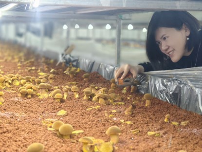 云南专家破译中华腐生牛肝菌“基因密码”